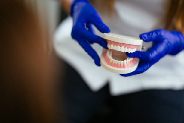 Professional Holistic Dental Care Services in Cressona, PA